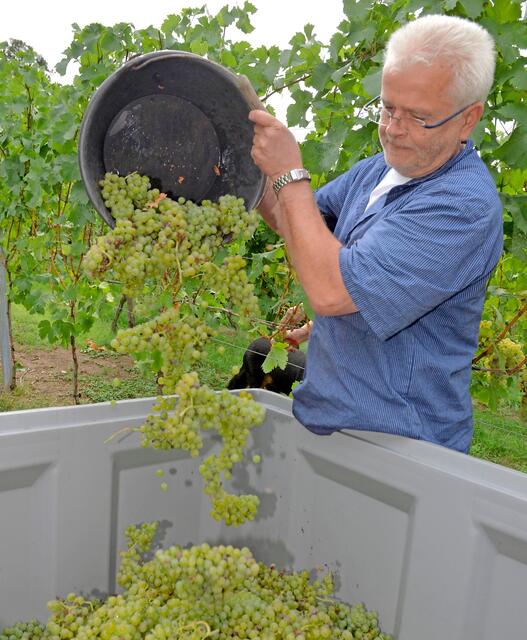 Tags im Wengert, abends im Weindorf: Winzer Jürgen Müller aus Heilbronn.