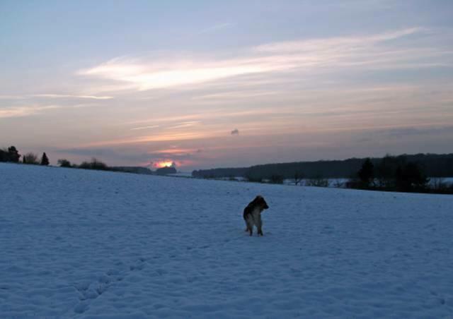 Winterliche Abendstimmung