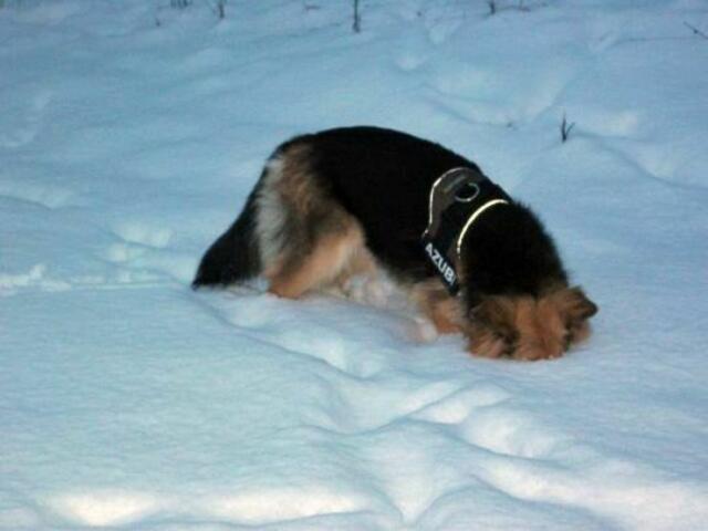 Nanu, das war doch mal was, wo ist es nur?