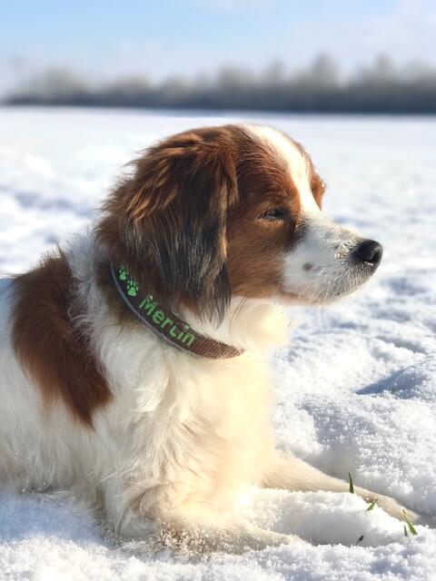 Auch im Schnee die Sonne genießen