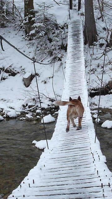 Über die wackelige, rutschige Hängebrücke immer Voraus !