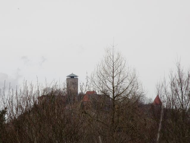 Burg Beilstein versteckt sich hinter den Bäumen