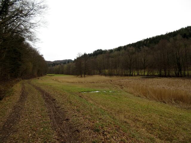 Die Weite im Bottwartal