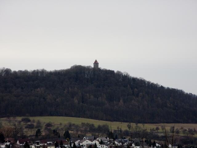 Aussicht auf die Burg Lichtenberg