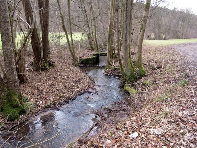 Die romantische naturbelassene Bottwar
