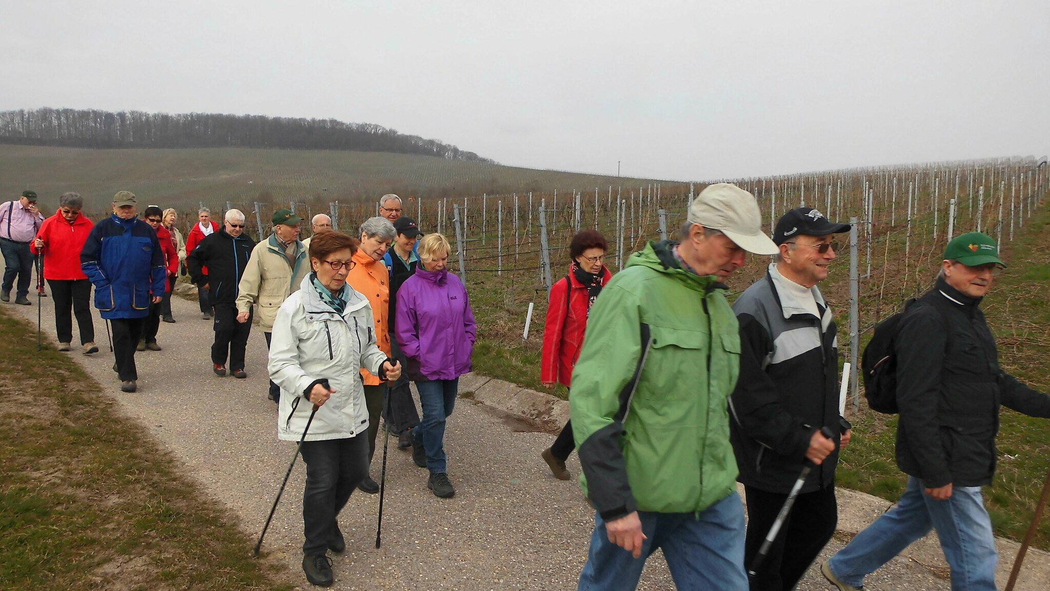 Talheim Märzwanderung des SAV Talheim - Talheim