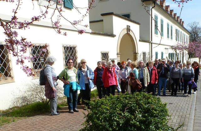Wo sind die nächsten Mandelblüten?