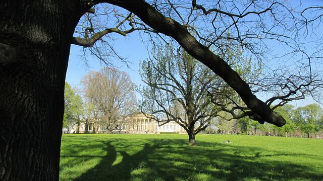 ... durch den Rosensteinpark ...