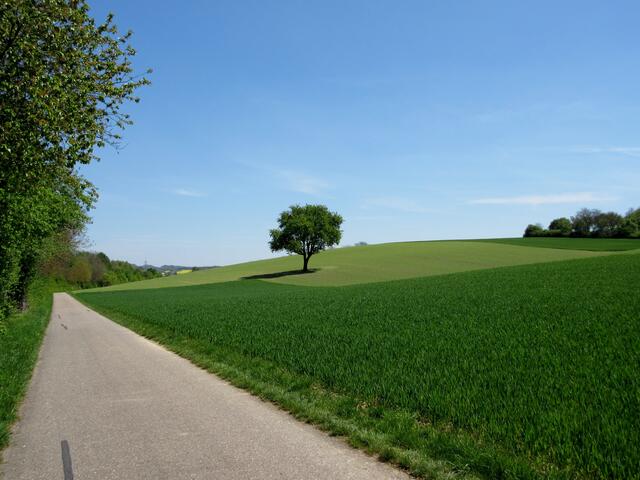 Immer wieder diese Weite im Kraichgau
