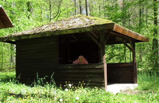 Huhu da schaut eine alte Hexe raus, sie lockt die Kinder ins Hexenbuhuschhaus...