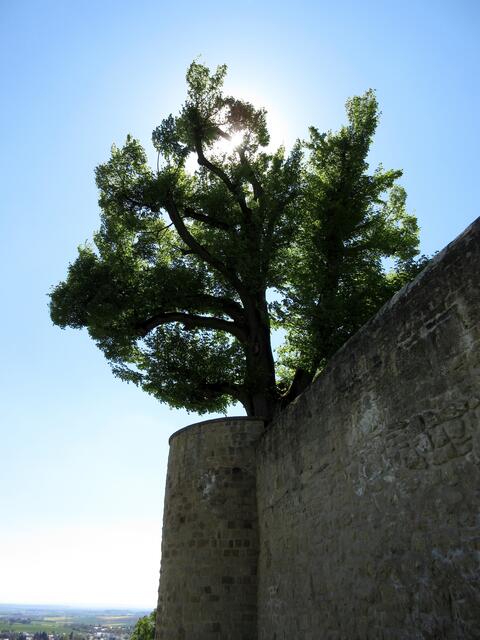 unbeschreibliche Stimmung