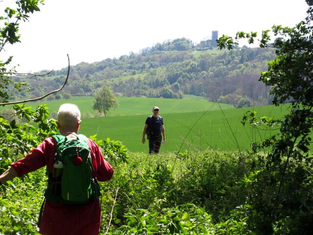 Der erste Blick auf die Burg Steinsberg