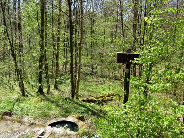 Brunnen am Sachsweg