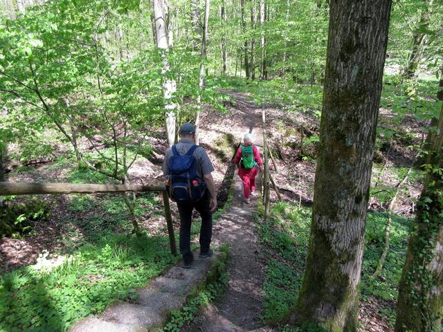 Sehr schön angelegt und ausgeschildert sind die Wege vom Odenwaldklub e.V.