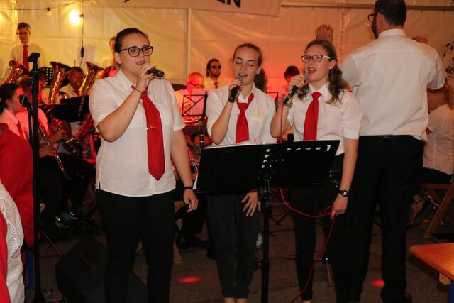 Das Orchester der Stadtkapelle präsentierte wieder viele Gesangsstücke.