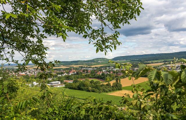 Wie schön ist es im Zabergäu! Wandern Sie mit, z.B. von Güglingen auf den Michaelsberg