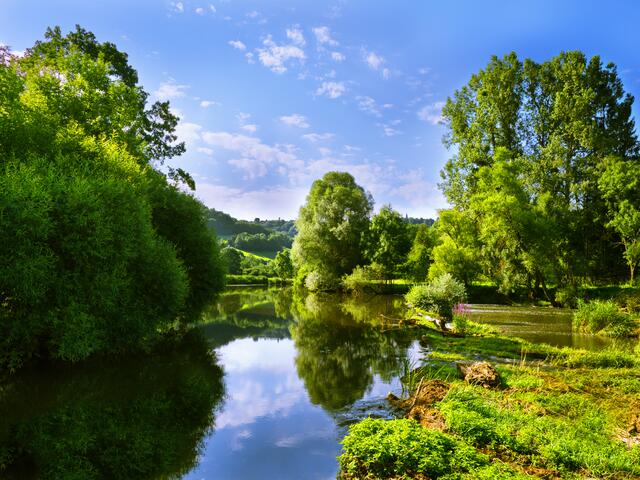 "Oberregenbach". Ob am Wochenende oder in der Urlaubszeit , in das romantische Jagsttal zwischen Bächlingen und Unterregenbach gehen wir immer wieder gerne. Die üppige und artenreiche Vegetation , sowie die satten Wiesen entlang der Jagst, begeistern uns  immer wieder. Ich finde es etwas kalt aber wer kühles Wasser mag, kann auch ein erfrischendes Bad in der Jagst  nehmen.