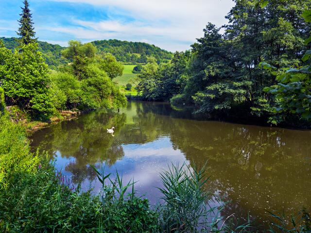 "Unterregenbach". Ob am Wochenende oder in der Urlaubszeit , in das romantische Jagsttal zwischen Bächlingen und Unterregenbach gehen wir immer wieder gerne. Die üppige und artenreiche Vegetation , sowie die satten Wiesen entlang der Jagst, begeistern uns  immer wieder. Ich finde es etwas kalt aber wer kühles Wasser mag, kann auch ein erfrischendes Bad in der Jagst  nehmen.