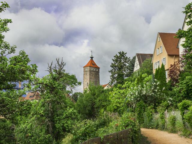 Um Waldenburg gibt es einen schönen fast märchenhaften Rundweg, der wunderschön angelegt ist und einen herrlichen Ausblick auf das umliegende Hohenloher Land bietet.