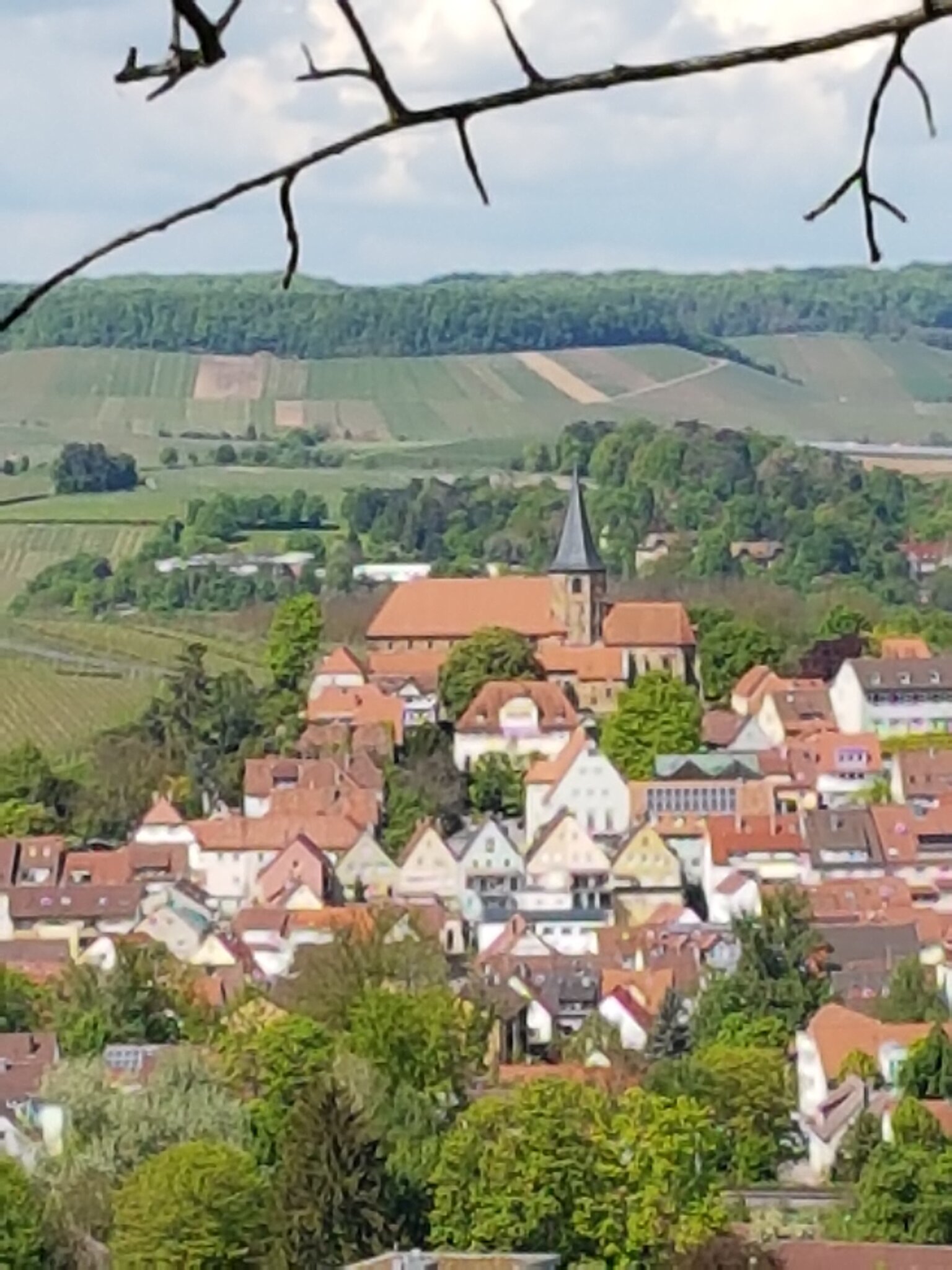 Mittwochswanderung OG Weinsberg Let`s go, jeder Schritt hält fit