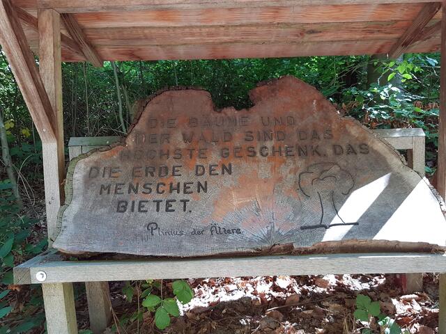 Schon die Römer wußten um die Schönheit des Waldes.