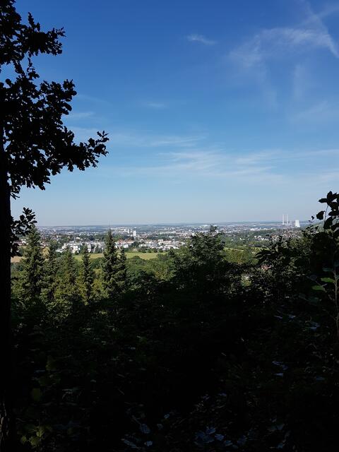 Blick über Heilbronn vom Böckinger Backenweg