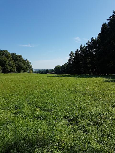Es grünt so grün, Stadtseetal