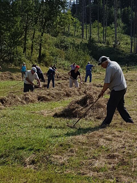fleißig bei der Arbeit