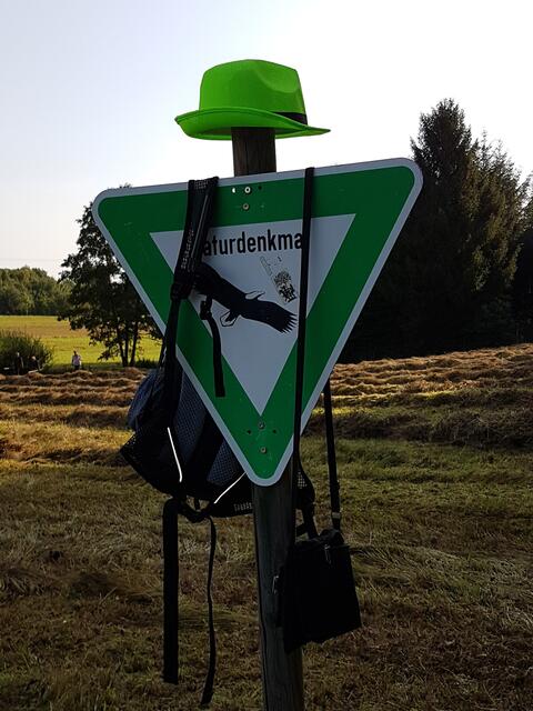 Ein Naturdenkmal will behütet sein