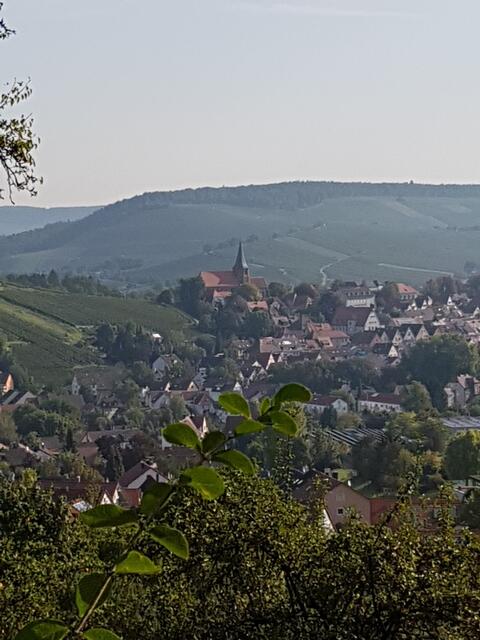 Auf dem Weg zur Kernerruhe Ausblick auf Weinsberg