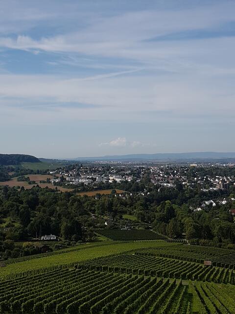 Aussicht auf Heilbronn vom Randweg