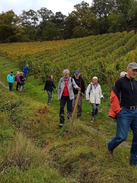 Durch die Weinberge zum Trappensee