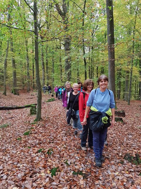 Wanderschlange auf der Hällischen Strasse