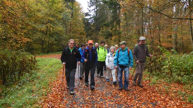Durch den herbstlich bunten Wald