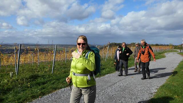Hoch über dem Bottwartal