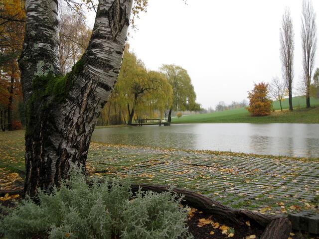 Frohnfalls Forellenparadies im herbstlichen Kleid