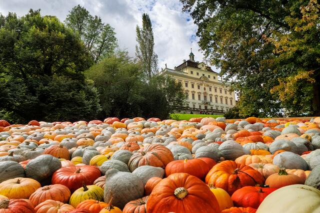 Nur noch das Schloss schaut heraus aus einem Meer von Kürbisse.