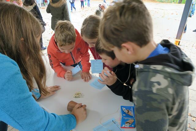 Helfen macht Schule 2017 Augen zählen