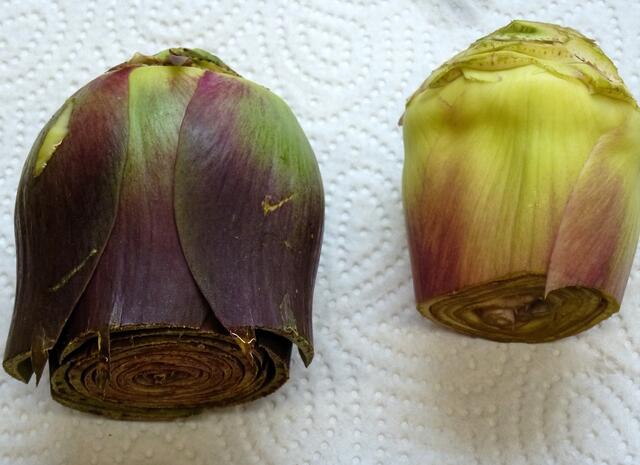 Keine Angst vor den Dornen! Zuerst die äußeren Blätter entfernen (etwa 12 Stück), dann etwa 1 cm von der Spitze abschneiden, danach die harten Teile des Bodens wegschneiden. Vierteln und ins Zitronenwasser geben.