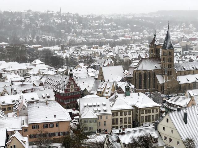 Ausblick auf Esslingen | Foto: Franz Leis