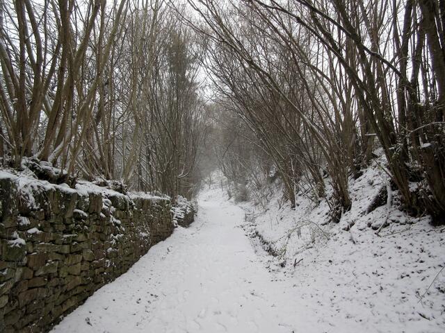 Der Weg war steiler, als er hier erscheint und führte zu mehreren Stürzen bei der Schneeglätte
