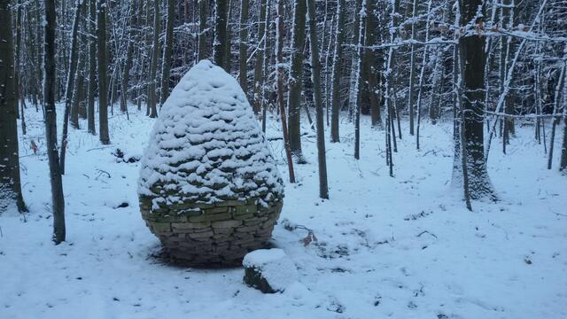 Winterwald am Hörnle
