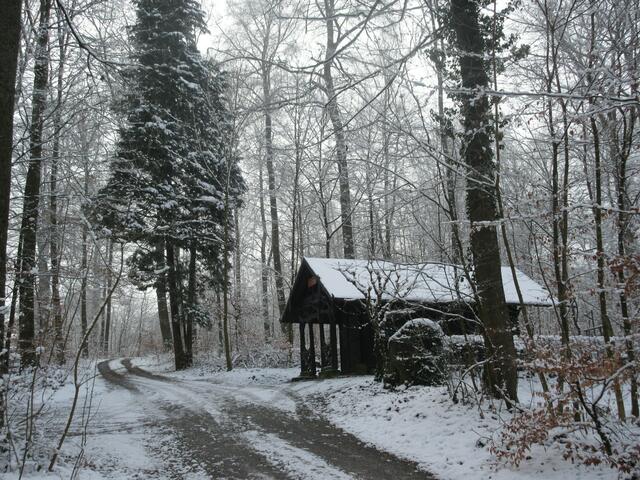 Winterimpression