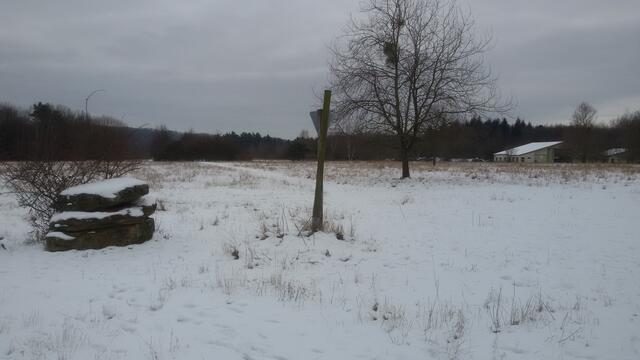 Naturdenkmal Waldheide im Winter