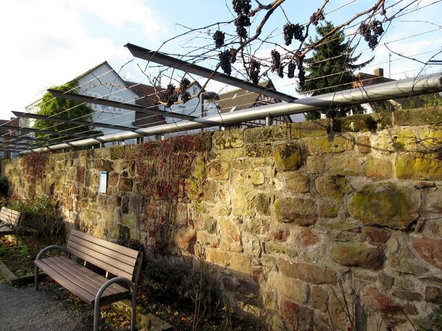 Stadtmauer in Weinsberg