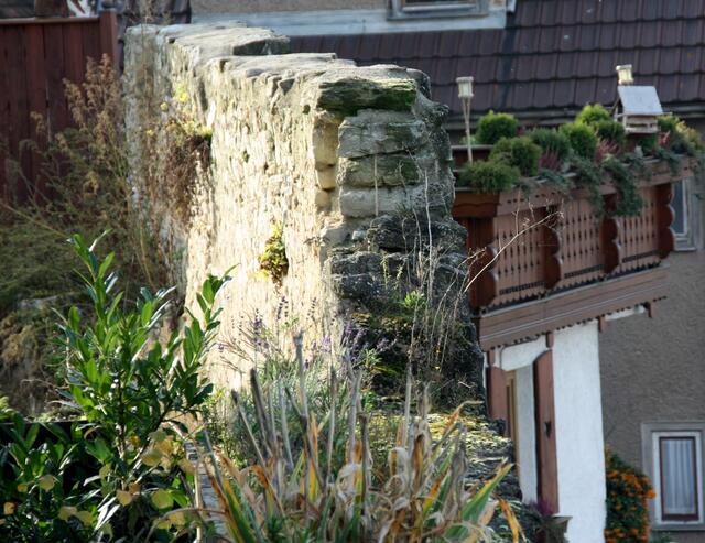 Stadtmauer Lauffen
