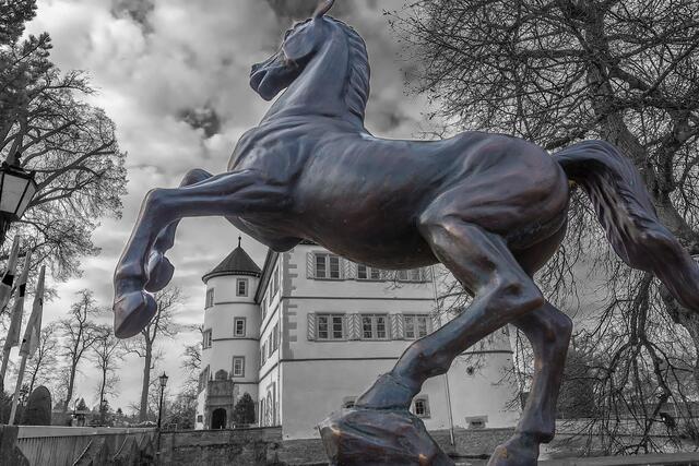 Im Schlosspark von Bad Rappenau