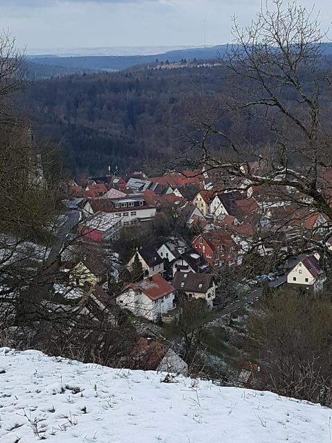 Löwenstein im Januarschnee