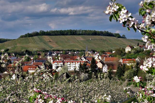 Unser Dorf Obersulm-Affaltrach im Frühling.