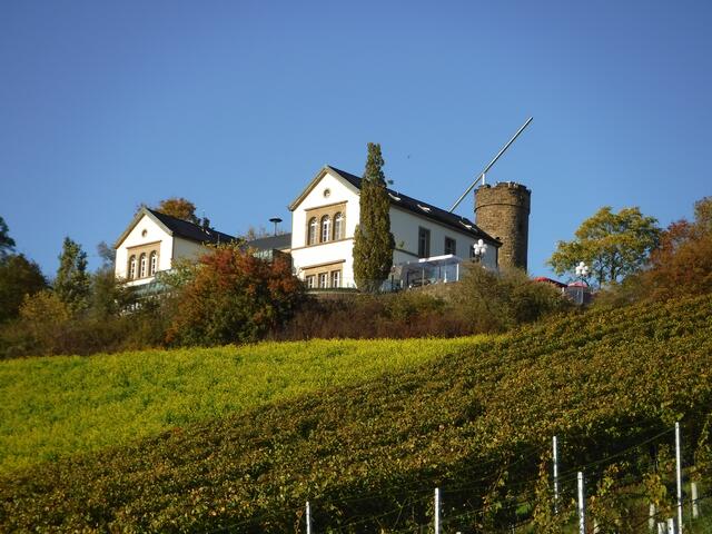 Unterwegs am Wartberg